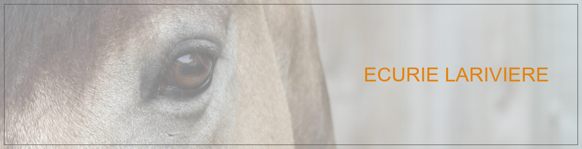 ECURIE LARIVIERE
